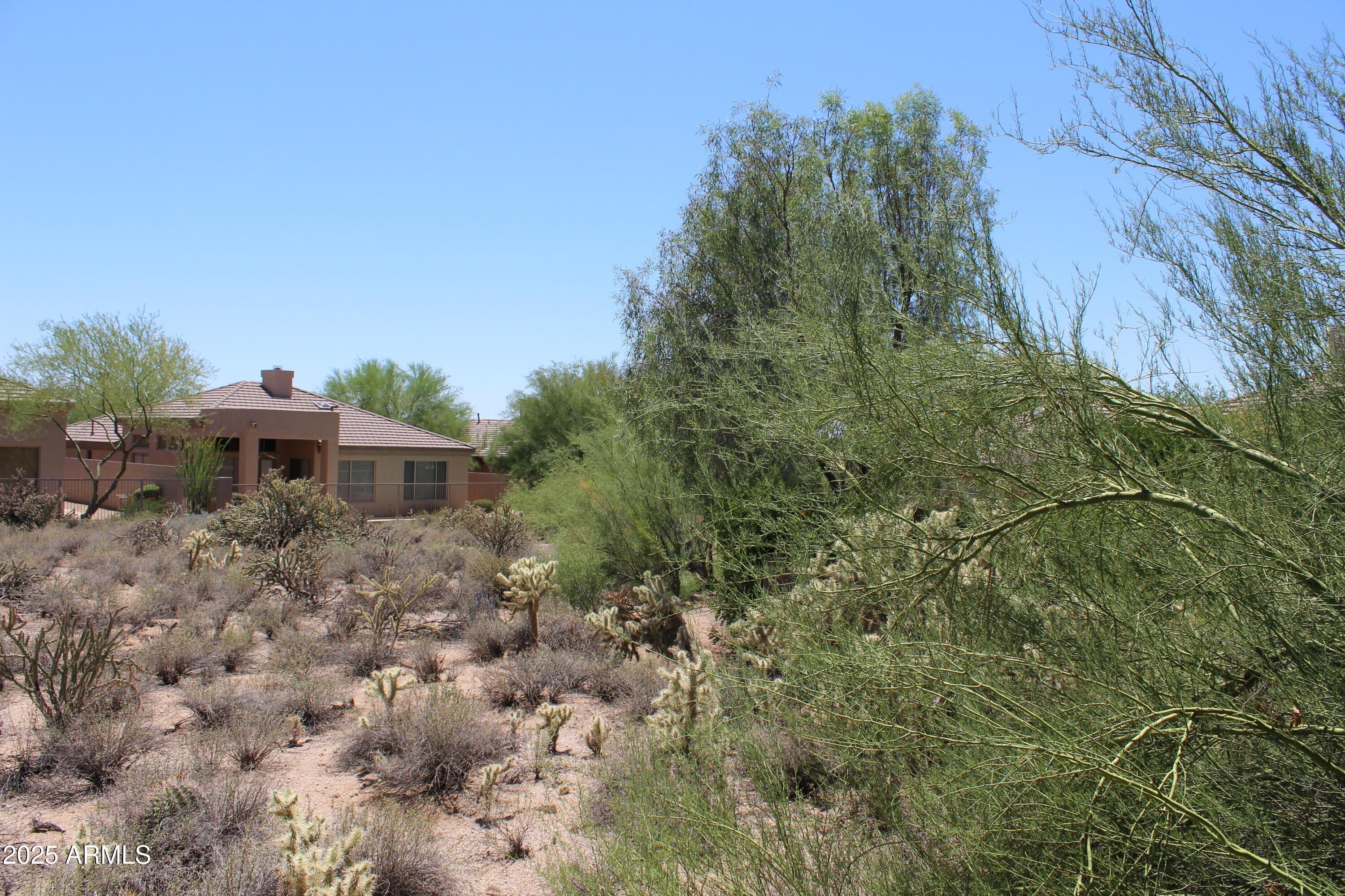 Photo #33