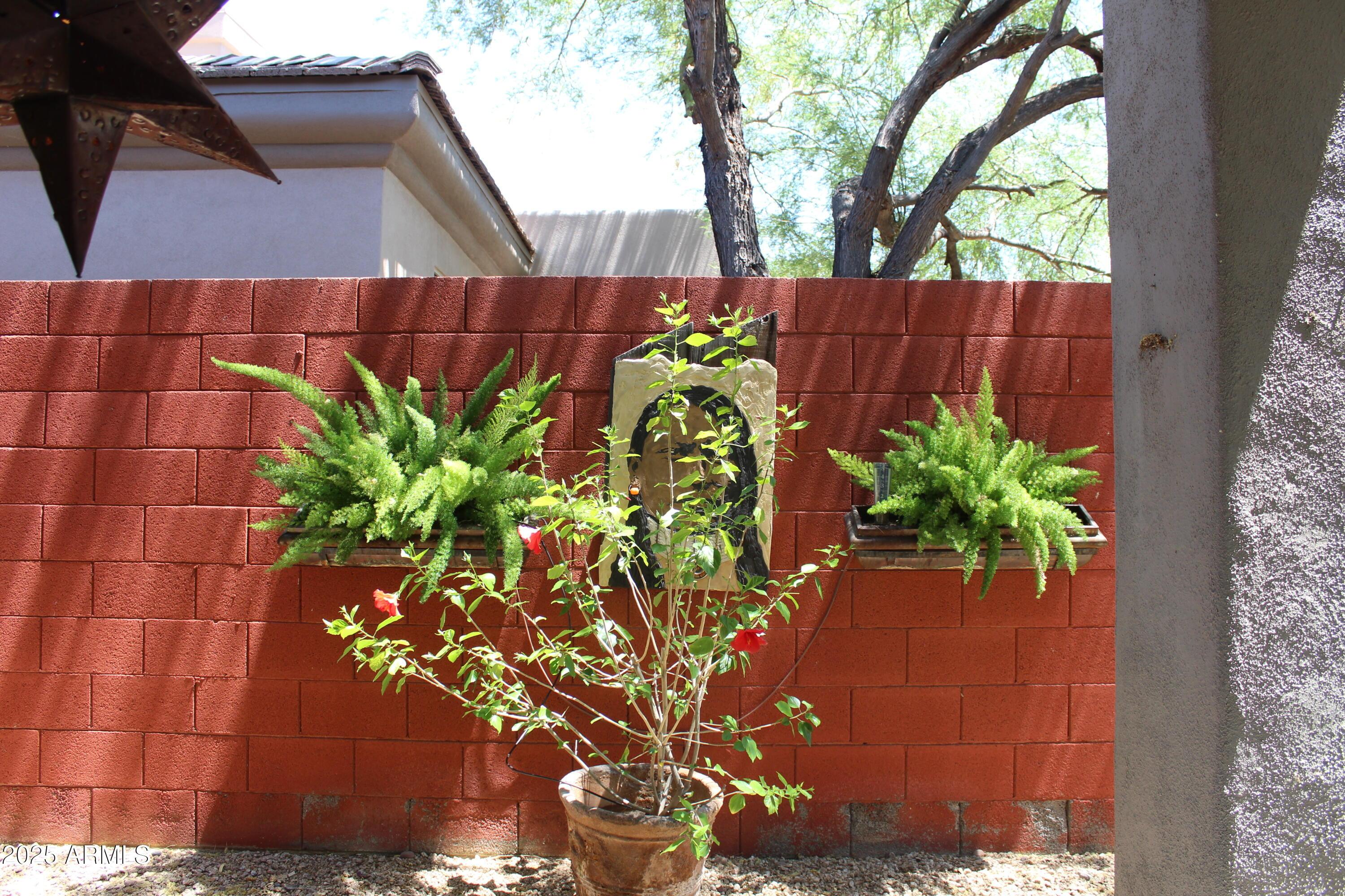 Photo #28