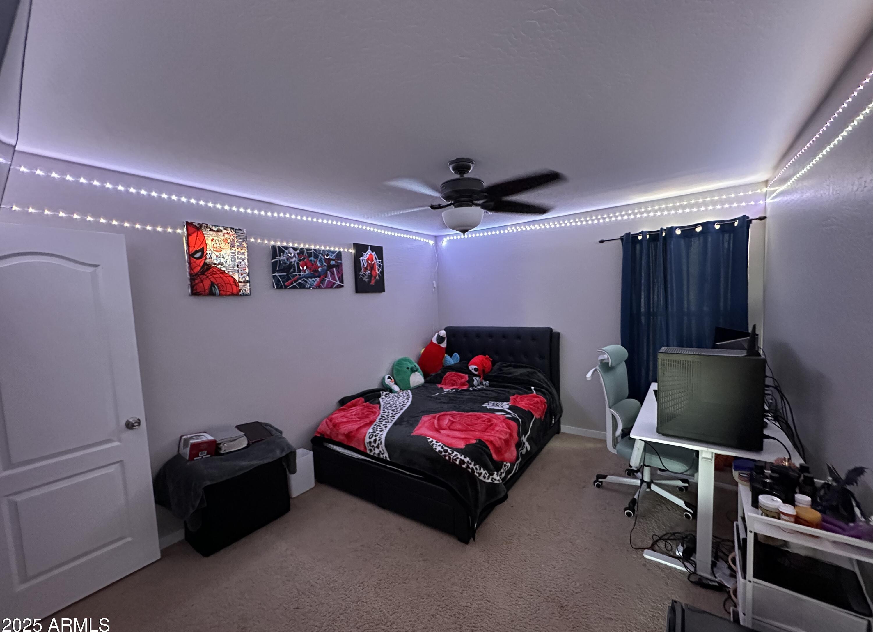 Photo #19