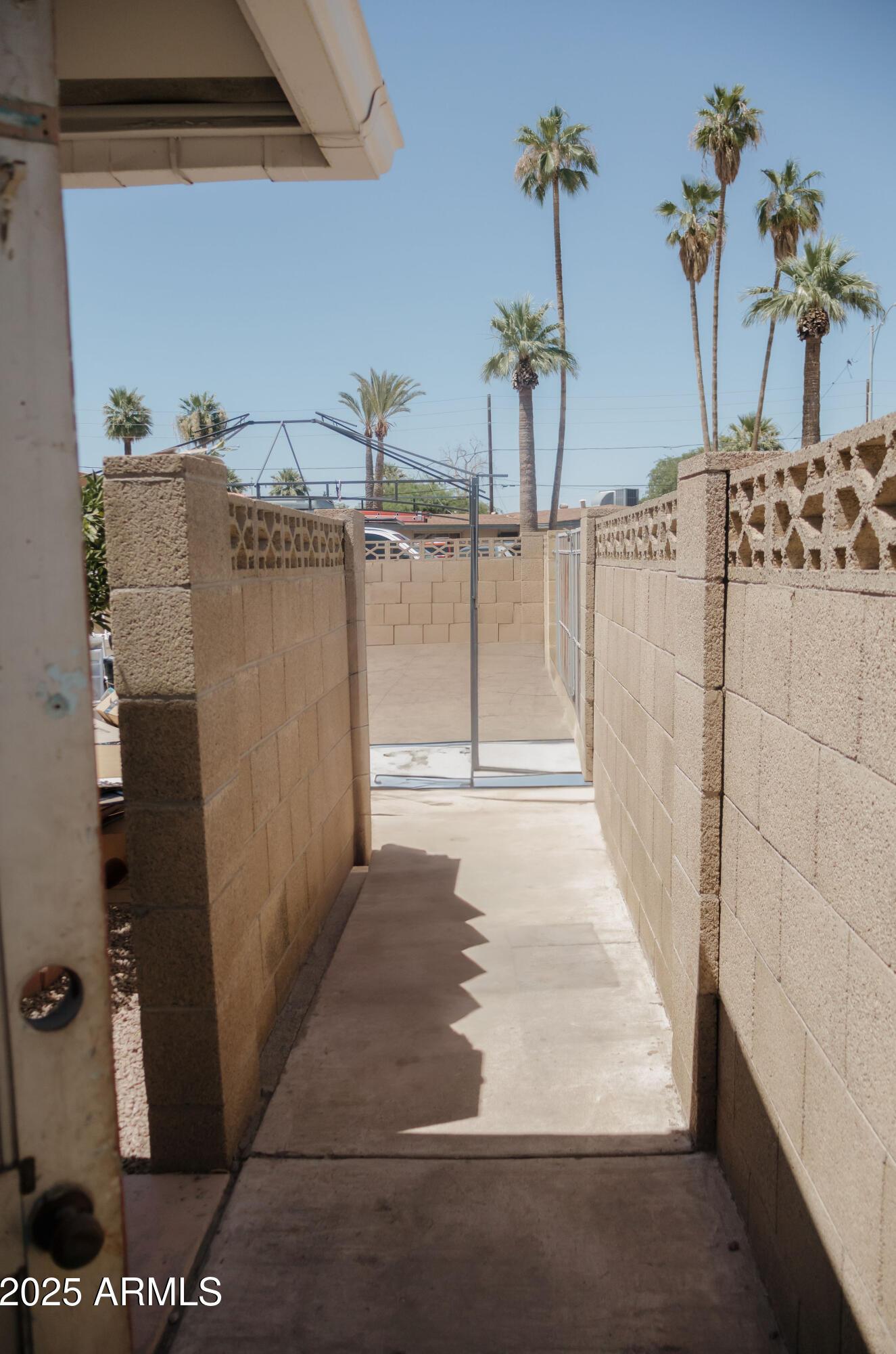 Photo #51
