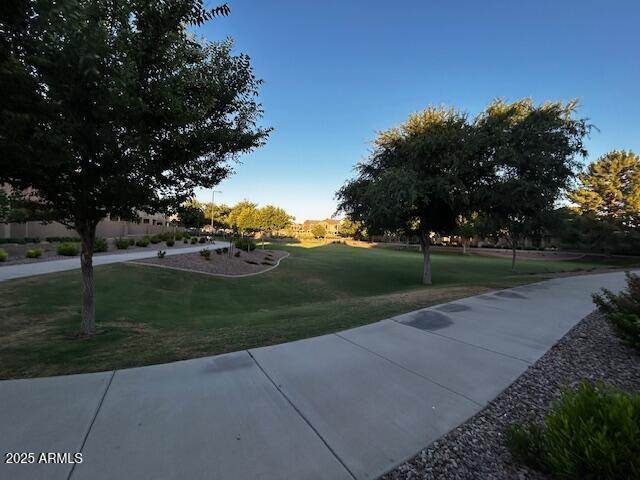 Photo #34