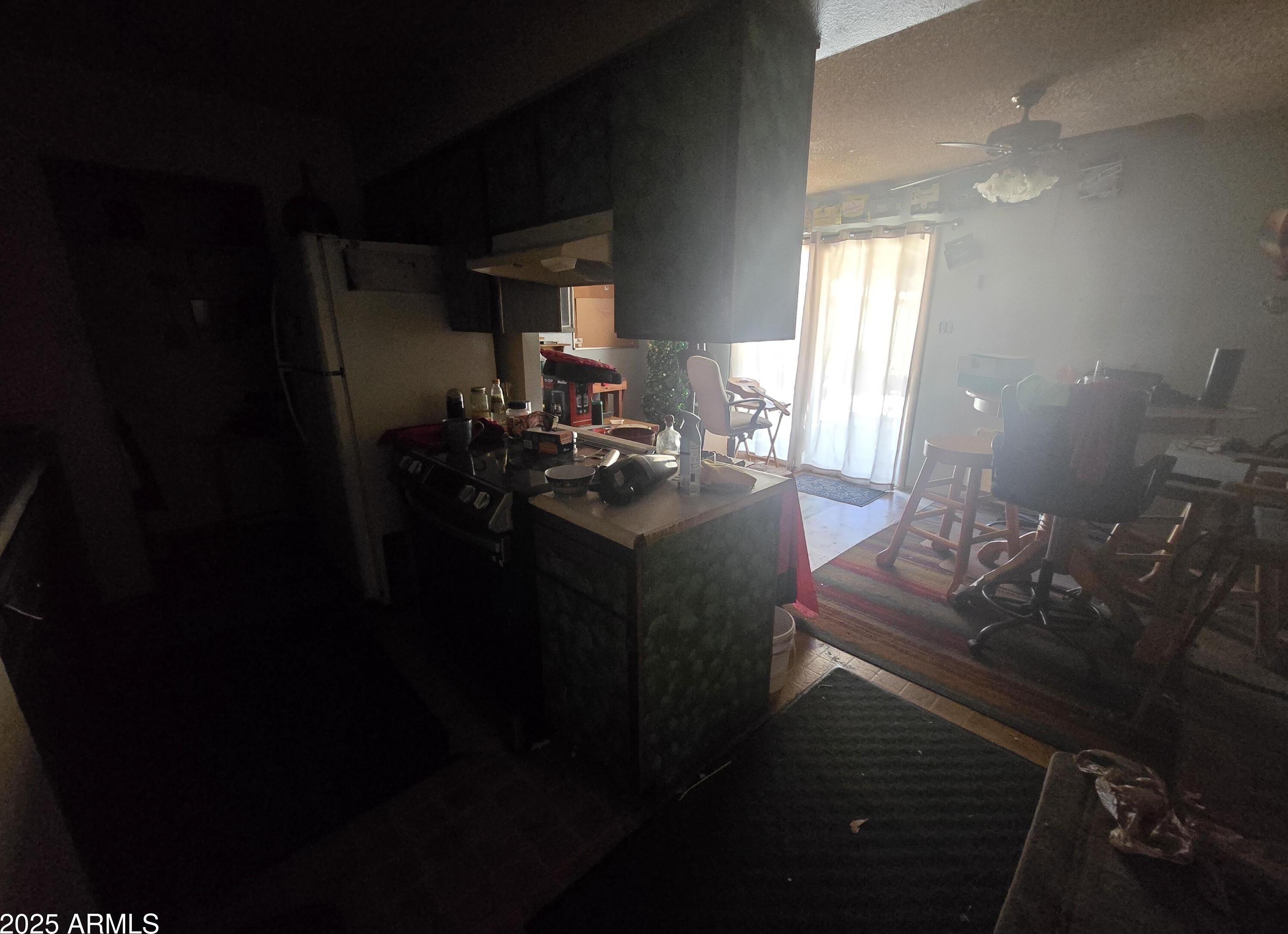 Photo #8