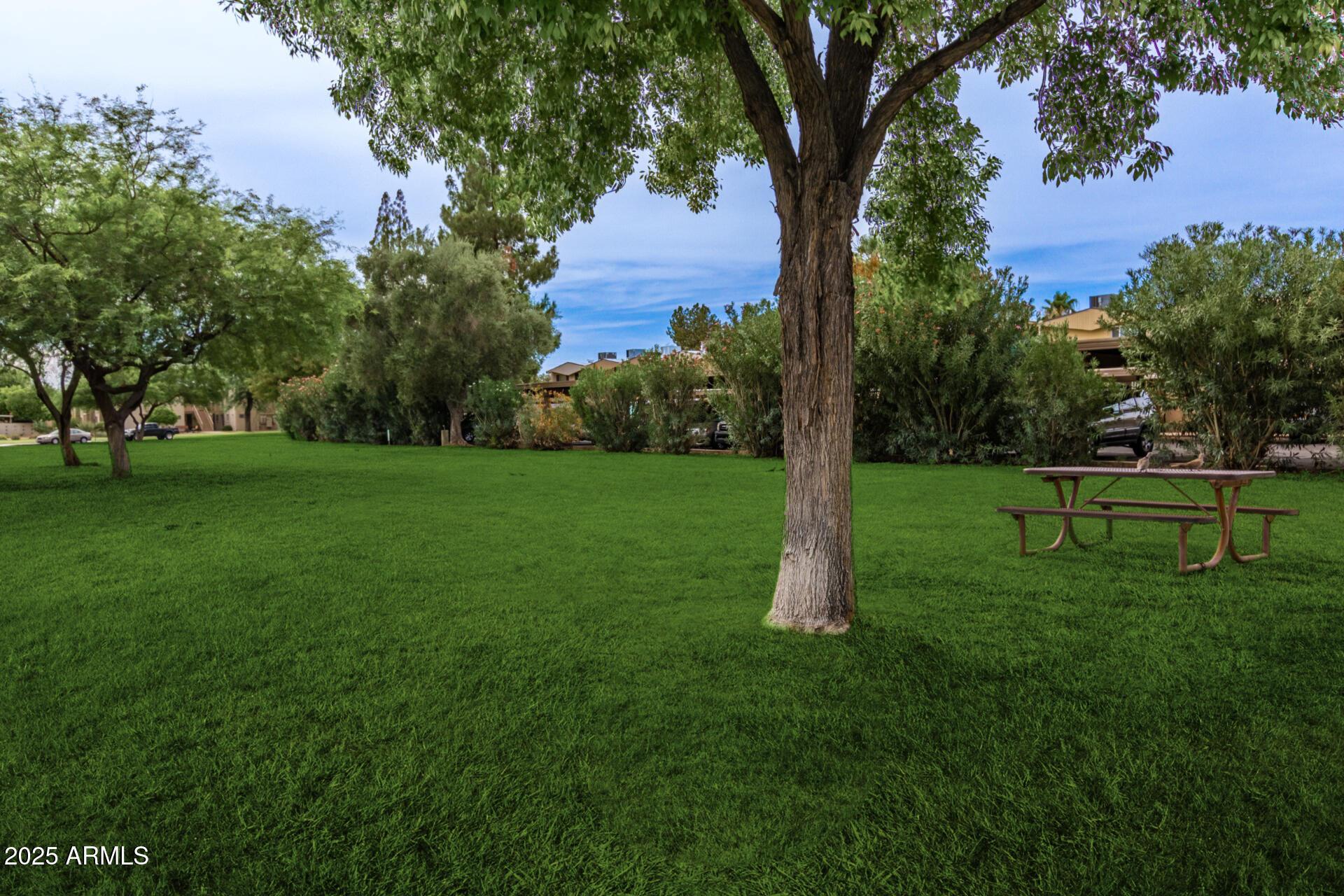 Photo #31
