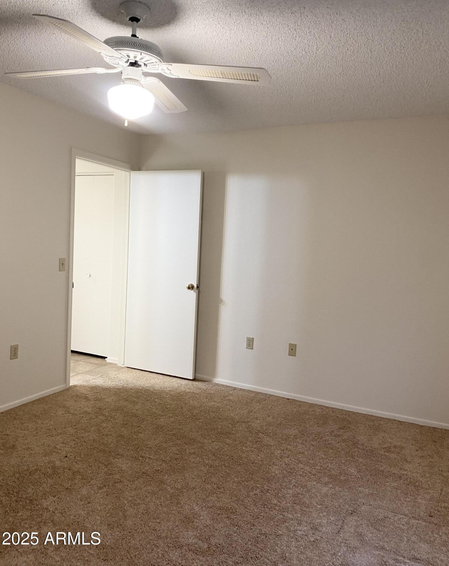 Photo #20
