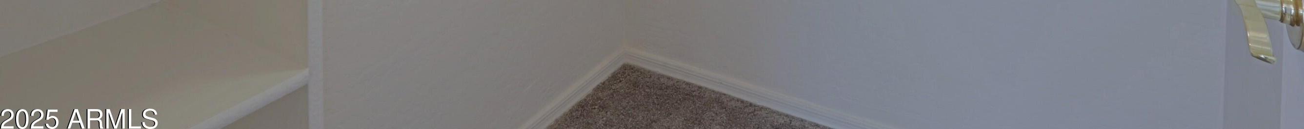 Photo #26