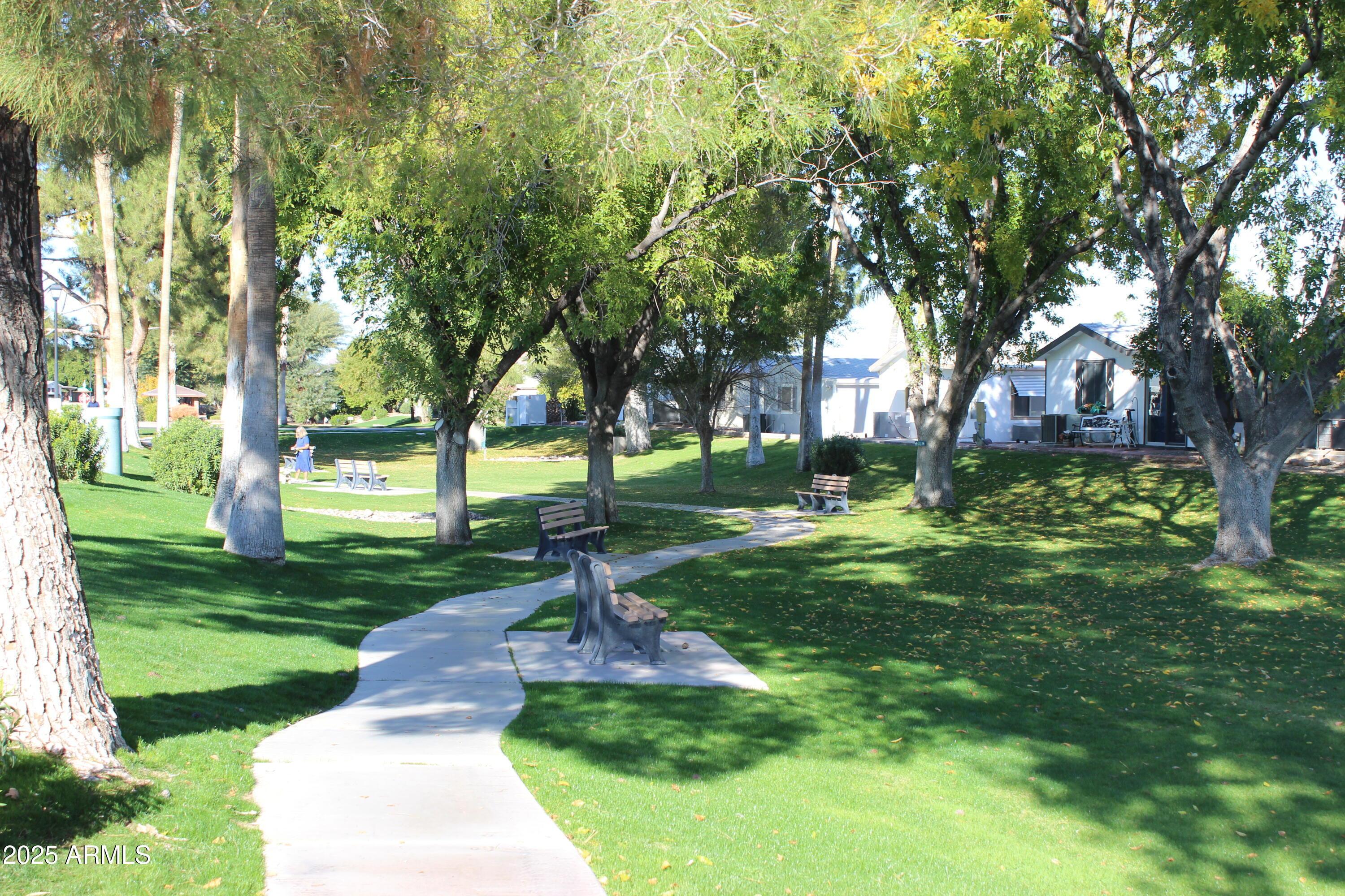 Photo #32