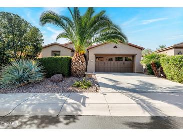 Single-story home with a two-car garage and desert landscaping at 29110 N 129Th Ave, Peoria, AZ 85383