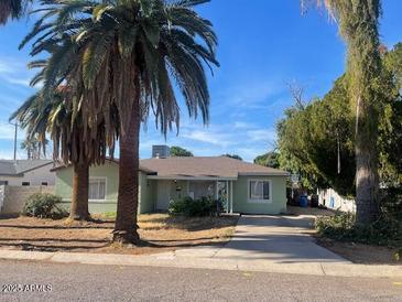 Cute single story home with a large front yard and mature palm trees at 6830 N 10Th Pl, Phoenix, AZ 85014