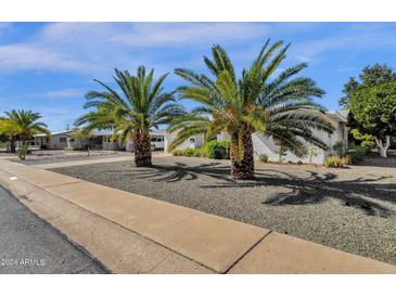 Ranch home with mature palm trees and gravel landscaping at 5502 E Billings St, Mesa, AZ 85205