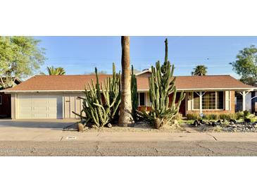 Charming single-story home featuring desert landscaping with mature cacti in the front yard at 3614 W Krall St, Phoenix, AZ 85019