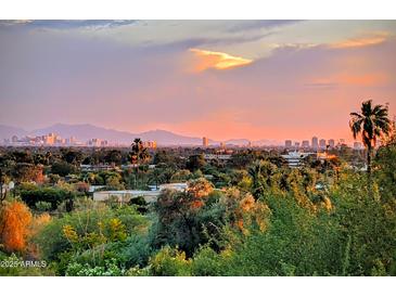 Expansive city skyline view at sunset, complemented by lush greenery and palm trees in the foreground at 4836 E White Gates Dr, Phoenix, AZ 85018