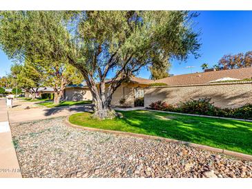 Landscaped yard with a large tree and brick wall at 18607 N 125Th Ave, Sun City West, AZ 85375