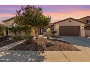 Beautiful desert landscaping and charming curb appeal at 3415 E Sports Dr, Gilbert, AZ 85298