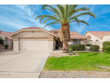 Single-story home with a two-car garage and a lush lawn at 19822 N Zion Dr, Sun City West, AZ 85375