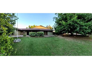 Expansive backyard featuring a lush green lawn, mature trees and a covered patio, perfect for outdoor living and entertaining at 10407 W Catalina Dr, Avondale, AZ 85392