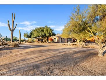 Desert landscape with a charming single-story home at 7918 E Dale Ln, Scottsdale, AZ 85266