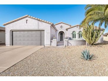 One-story home with gray garage door and desert landscaping at 19612 N Wasson Peak Dr, Surprise, AZ 85387