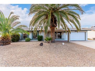 Single-story home with a landscaped front yard, palm trees, and a two-car garage at 10517 W Diana Ave, Peoria, AZ 85345