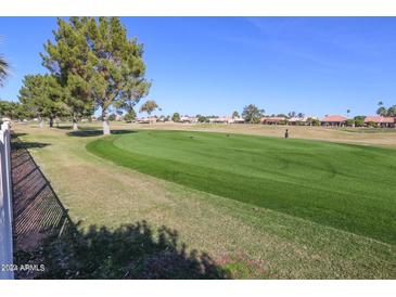 Scenic view of a lush green golf course at 25037 S Ribbonwood Dr, Sun Lakes, AZ 85248