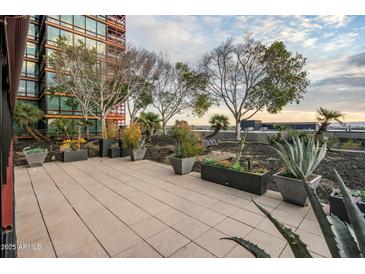 Shared patio with plants and city views at 4808 N 24Th St # 627, Phoenix, AZ 85016