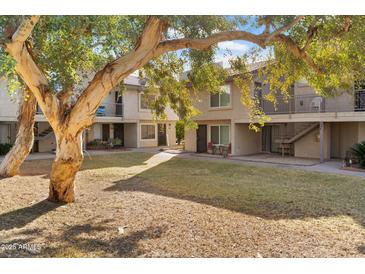 Inviting community courtyard with mature trees and grassy areas at 19601 N 7Th St # 1042, Phoenix, AZ 85024