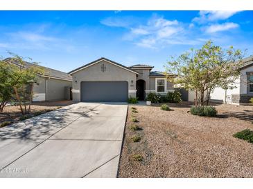 Single-story home with gray exterior, two-car garage, and landscaped front yard at 24310 N Sickle Rd, Florence, AZ 85132