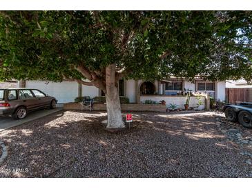 Ranch style home with a large tree in the front yard and gravel landscaping at 11840 N 49Th Ave, Glendale, AZ 85304