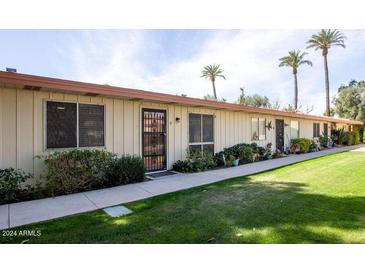 Light-colored building with landscaping and palm trees at 8241 N Central Ave # 13, Phoenix, AZ 85020