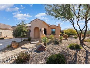 Single-story home with desert landscaping and a two-car garage at 20515 N 274Th Ln, Buckeye, AZ 85396