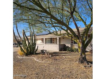 Ranch style home with mature trees and desert landscaping at 10216 W Ironwood Dr, Sun City, AZ 85351