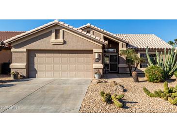 Tan house with cacti and gravel landscaping at 3832 N 162Nd Ln, Goodyear, AZ 85395