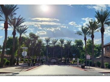 Entrance to community with palm trees and lush landscaping at 7844 W Bonitos Dr, Phoenix, AZ 85035