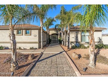 Inviting curb appeal with palm trees and a paved walkway leading to the entrance at 1106 E Circle Mountain Rd, New River, AZ 85087