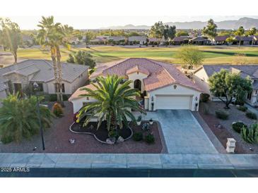 Single-story home with tile roof, palm trees, and a view of a golf course at 3604 N 162Nd Ave, Goodyear, AZ 85395