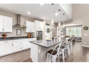 Modern kitchen with white cabinets, stainless steel appliances, and a large island at 1081 W Danish Red Trl, San Tan Valley, AZ 85143