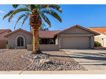 Single-story home with desert landscaping and a two-car garage at 18802 N 96Th Ln, Peoria, AZ 85382