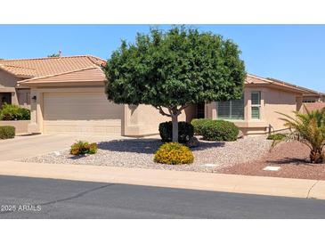Charming single-story home with a well-manicured front yard and mature landscaping in a desirable neighborhood at 3056 E Palm Beach Dr, Chandler, AZ 85249