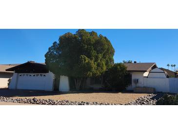 Single story home with a large tree in the front yard and rock landscaping at 1615 E Fremont Dr, Tempe, AZ 85282