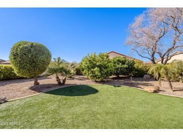 Landscaped backyard with artificial turf and mature trees at 5352 N Gila Trail Dr, Eloy, AZ 85131