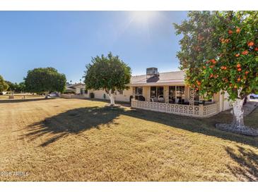 Large backyard with grassy area and mature trees at 13635 N Emberwood Dr, Sun City, AZ 85351