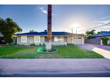 Single-story home with attractive landscaping and a large palm tree at 2806 N 82Nd St, Scottsdale, AZ 85257