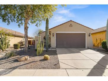 Single-story home with desert landscaping and a two-car garage at 21295 N 262Nd Dr, Buckeye, AZ 85396