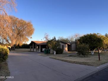 Ranch house with spacious front yard, mature trees, and long driveway at 551 S Esquire Way, Mesa, AZ 85202