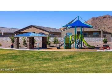 Community playground with play structure, shaded seating, and grassy areas at 4232 W Hannah St, San Tan Valley, AZ 85144