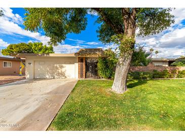 Ranch style home with mature tree and spacious front yard at 10314 W Manzanita Dr, Sun City, AZ 85373