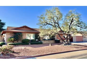 Single story home with mature landscaping and a large front yard at 1813 W Mandalay Ln, Phoenix, AZ 85023