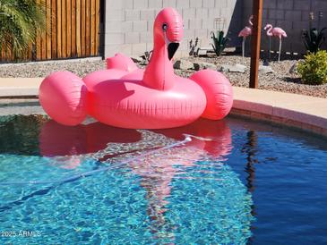 Inviting in-ground pool with clear water, featuring a fun flamingo float for a resort-style backyard at 12411 N Cantata Ct, Sun City, AZ 85351