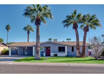 Single-story house with gray siding, red door, and palm trees at 2923 N 81St Pl, Scottsdale, AZ 85251