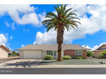 Brick ranch house with a large palm tree in the front yard at 9838 W Santa Fe Dr, Sun City, AZ 85351