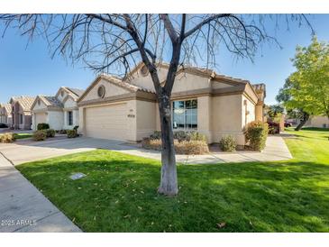 Well-maintained house with a manicured lawn and a tree in the front yard at 17129 N Silver Path, Surprise, AZ 85374